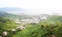 مشاهده ۲ قلاده سیاهگوش در زیستگاه‌های رودسر
