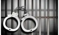 بازداشت دختر عباس عبدی به خاطر ارتباط با مهدی یراحی