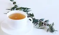 دم شیر را با احتیاط مصرف کنید! 