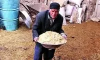 این مرد کشاورز، یک زن است