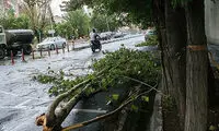 عصر امروز، شمال تهران نروید!