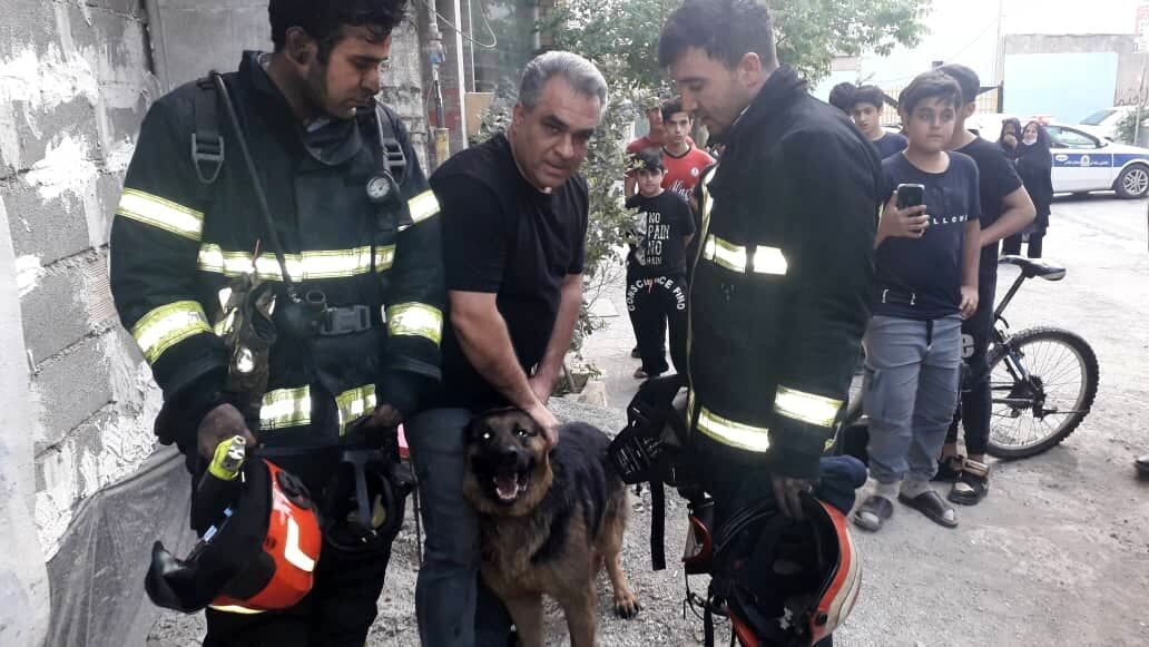 نجات سگ گرفتار در حریق توسط آتش‌نشانان