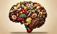 ۸ ماده غذایی مفید برای سلامت مغز