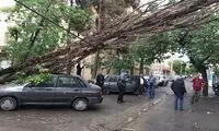 تهرانی‌ها امروز خیلی مراقب باشند