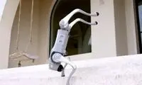 عکسی از سگ سخنگو ۱۶۰۰ دلاری، به لطف ChatGPT!