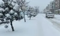 اتفاق نادر در سیستان و بلوچستان پس از ۱۹ سال