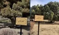 «فضای سبز» دانشگاه فردوسی هم زنانه مردانه شد!