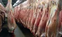 گوشت گوسفند آفریقایی به ایران رسید