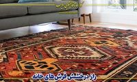 راز درخشش فرش‌های خانه، تجربه واقعی مشتریان از قالیشویی ادیب تهران و کرج