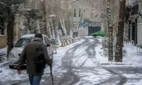 برف امروز تجریش را سفیدپوش کرد