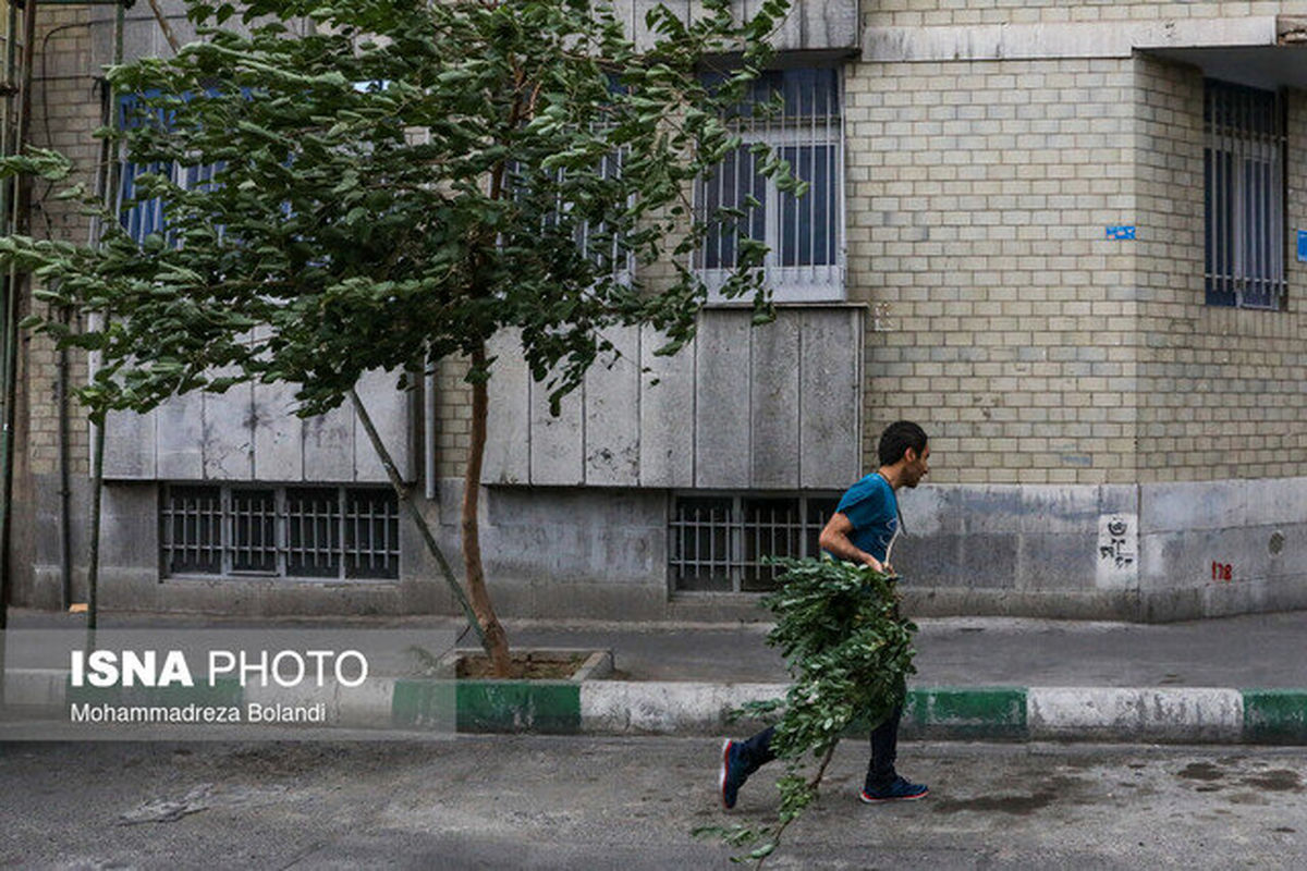   هشدار هواشناسی درباره وزش باد شدید در تهران 