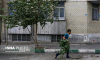 هشدار هواشناسی درباره وزش باد شدید در تهران