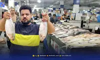 این ماده غذایی از سفره جنوبی‌ها ناپدید شد!