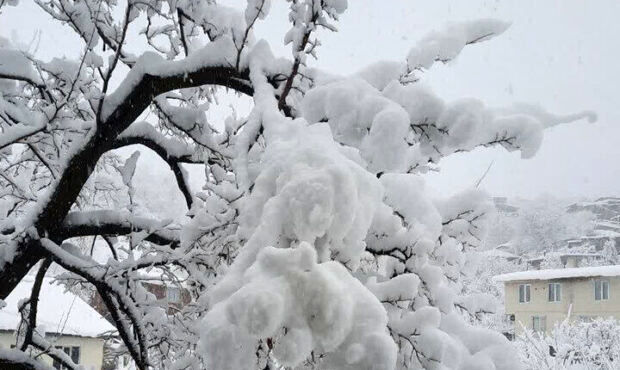 وقتی ۳۶ ساعت برف سنگین در تهران بارید!