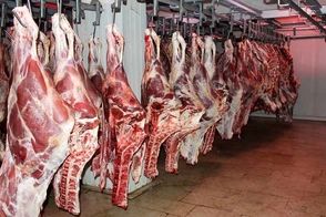 جزئیات تکان دهنده کشف ۳ تن گوشت الاغ در تهران