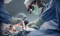 اولین پیوند موفق کبد خوک به انسان زنده در چین