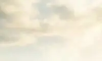 کدام حیوانات اجازه حضور در کشتی نوح را نداشتند؟