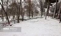 این مناطق کشور تا پایان هفته برفی خواهند شد