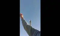 غذا دادن به مرغ‌های دریایی روی پل معلق بابلسر