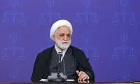 واکنش اژه‌ای به انتقادها از اعدام محسن شکاری