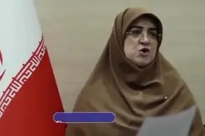 سخنگوی دولت با بنزین 10هزار تومانی سر مردم منت گذاشت!