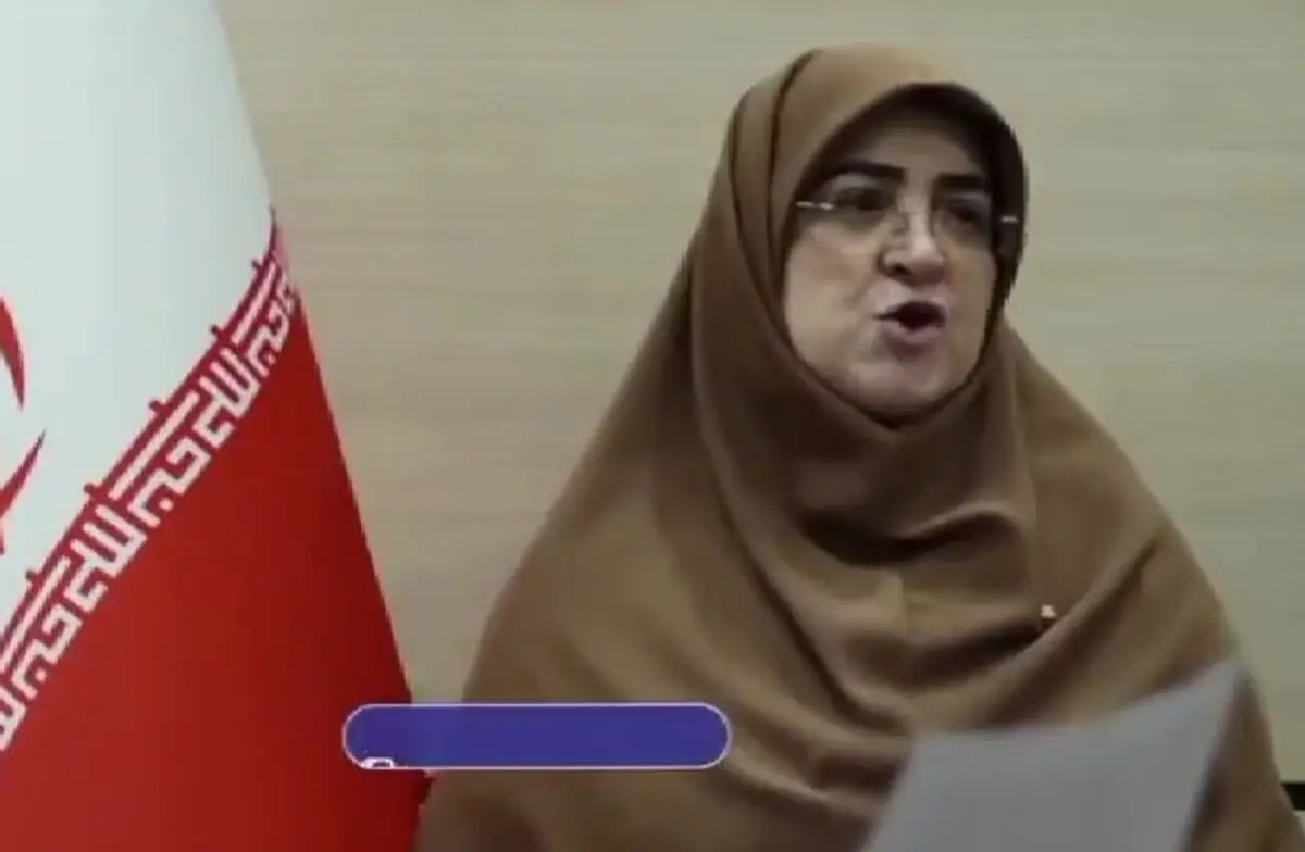 سخنگوی دولت با بنزین 10هزار تومانی سر مردم منت گذاشت!