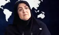 سخنگوی دولت: دولت برنامه‌ای برای مطالبه خسارت از سلبریتی‌ها ندارد