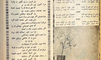 نخستین ترانه‌سرای زن ایران درگذشت