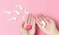 بهترین سن بارداری برای زنان چند سال است؟