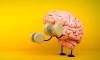 این ترکیب غذایی سبب تقویت مغز می‌شود