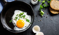جایگزین‌های مفید برای تخم مرغ در رژیم‌ غذایی
