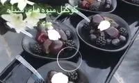 ختم لاکچری عجیب با کوکتل‌های سیاه!