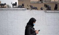 با جدیدترین وعده اینترنتی رئیسی آشنا شوید!