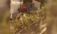 تصاویر تلخ از ضرب و شتم بیماران در مرکز توانبخشی