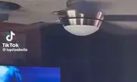 صحنه‌ای رعب‌آور از خروج مار خطرناک از پنکه سقفی خانه!
