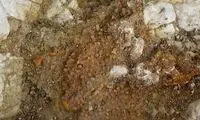 کشف گور رازآمیز یک سرباز رومی که در غل و زنجیر دفن شده است