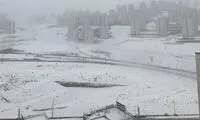 برفِ نو سلام! پاکی آوردی، اما همه آلودگی‌ست این ایام