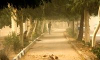 آمار مصدومان طوفان شب گذشته در تهران