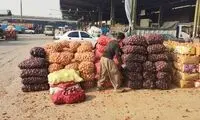 پشت‌پرده قیمت نجومی پیاز در بازار
