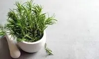 ادویه های معجزه گر در چربی سوزی را بشناسید