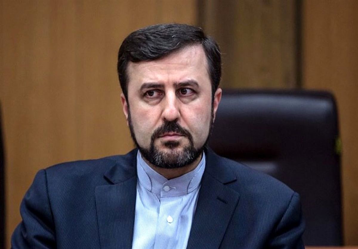 نطق خبرساز غریب‌آبادی درباره بازرسان آژانس اتمی