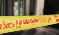 راز قتل یک استاد دانشگاه در ارتفاعات تهران