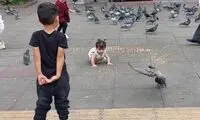 تصاویر دیدنی از حال و هوای عروس میادین ایران