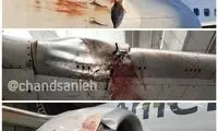 بلایی که چند غاز سر هواپیمای چند صد میلیونی آوردند