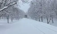 تصاویری زیبا از بارش سنگین برف در یک شهر ایران!