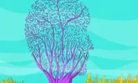 بگو تو عکس چی دیدی تا بگم از زندگی راضی هستی یا نه