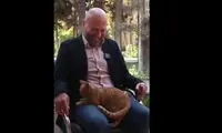 گربه‌ای که برنامه را از دست مجری درآورد!