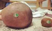 چند عکس که نشان می‌دهد نباید بچه‌ها را با پدران تنها گذاشت