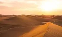تکنیک جالب بیابان زدایی در صحرا