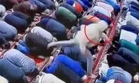 حمله هولناک نمازگزار به امام جماعت یک مسجد